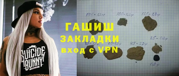 хмурый Алексин