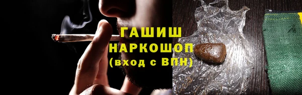хмурый Алексин