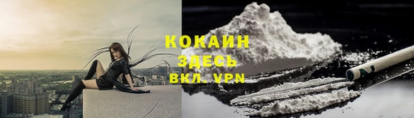 хмурый Алексин
