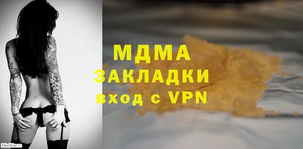PSILOCYBIN Алзамай