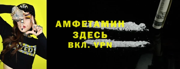 хмурый Алексин