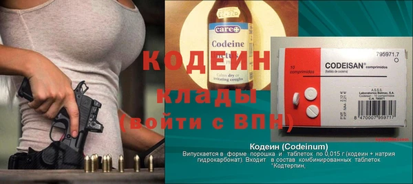 хмурый Алексин